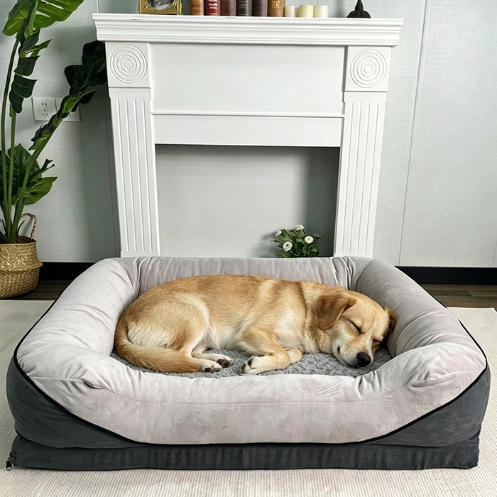 Dog beds