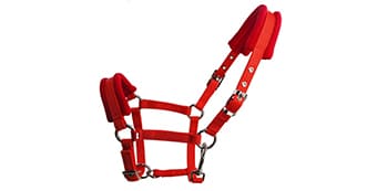 Horse Riding Halter