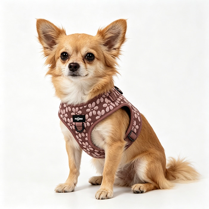 Jacquary dog harness