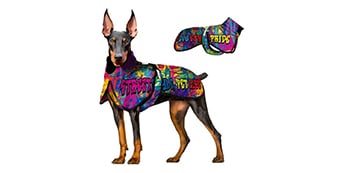 Pet Dog jacket dog clothes