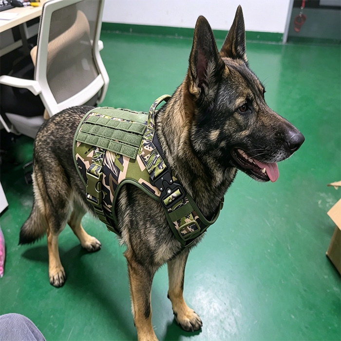 Tactical dog harness for outdoor